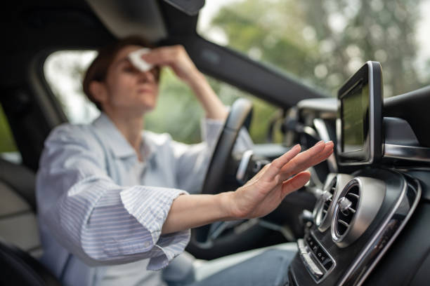 Best Air Conditioning Repair  in Carrollwood, FL
